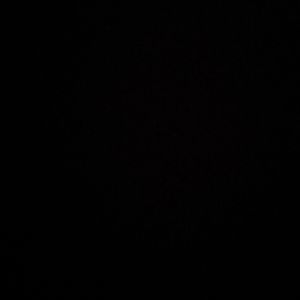 Meet your Posher, Trent